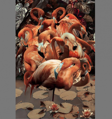 Glas schilderij Flamingo